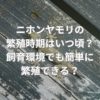 ニホンヤモリの繁殖時期はいつ頃？飼育環境でも簡単に繁殖できる？
