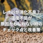 レオパが消化不良？温度不足が原因かもしれない時のチェック点と改善策