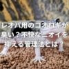レオパ用のコオロギが臭い？不快なニオイを抑える管理法とは？