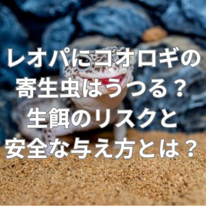 レオパにコオロギの寄生虫はうつる？生餌のリスクと安全な与え方とは？