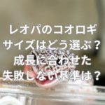レオパのコオロギサイズはどう選ぶ？成長に合わせた失敗しない基準は？